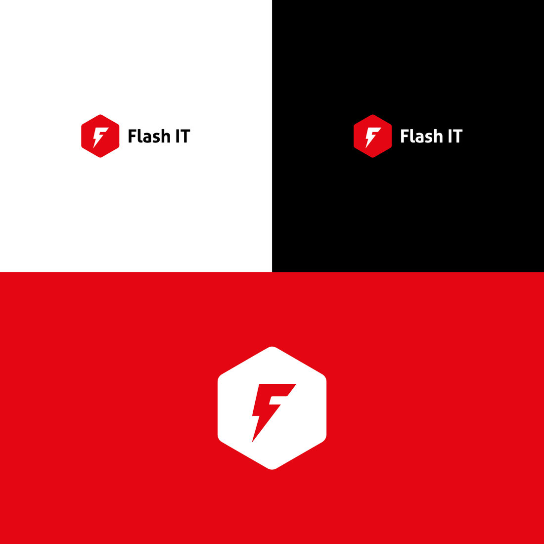 Wort-Bild-Marke Flash IT in vier Farbfassungen